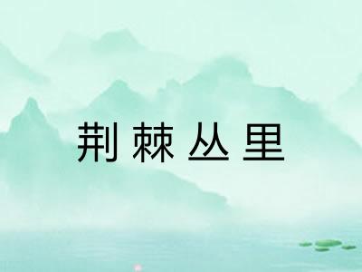 荆棘丛里