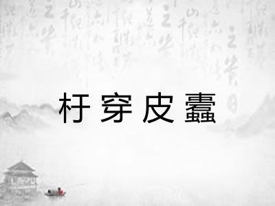 杅穿皮蠹