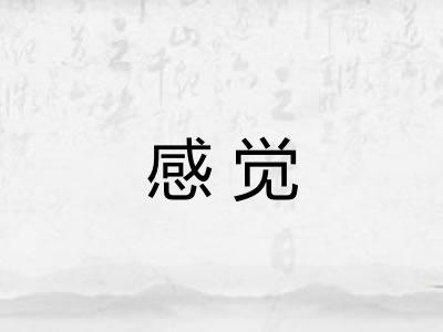 感觉