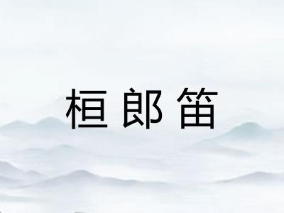 桓郎笛