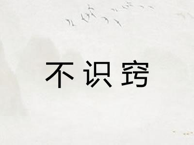 不识窍