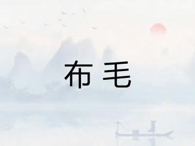 布毛