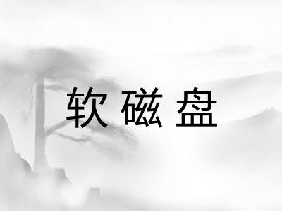 软磁盘