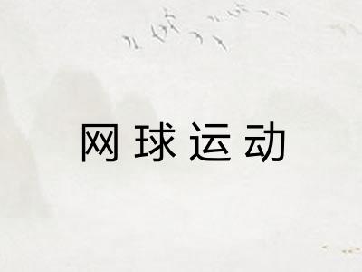 网球运动