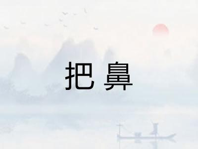 把鼻