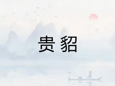 贵貂