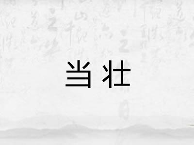 当壮