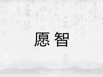 愿智