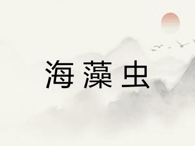 海藻虫