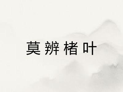 莫辨楮叶