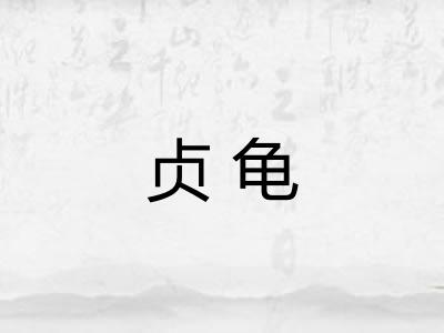 贞龟
