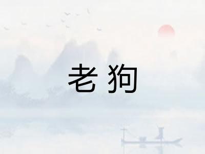 老狗
