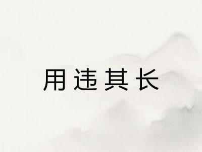 用违其长