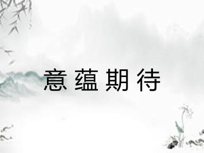 意蕴期待
