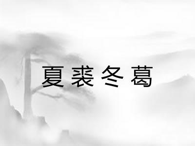 夏裘冬葛