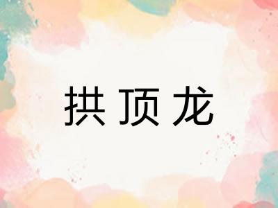 拱顶龙