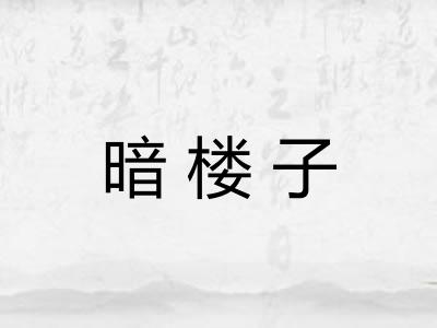 暗楼子