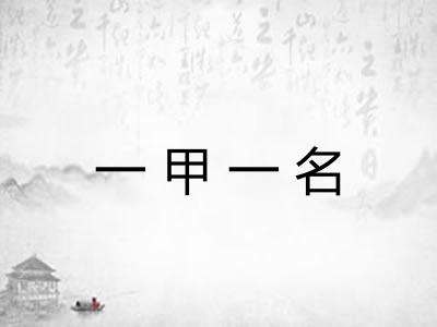 一甲一名