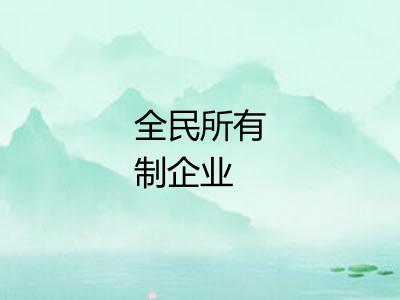 全民所有制企业