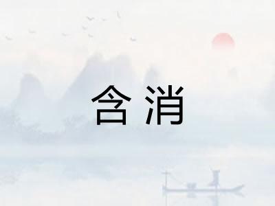 含消
