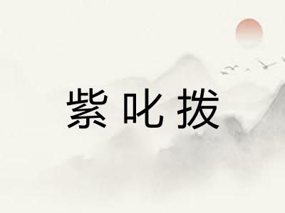 紫叱拨