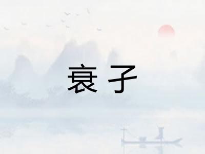 衰孑