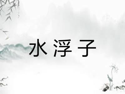 水浮子