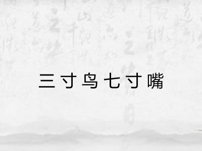 三寸鸟七寸嘴