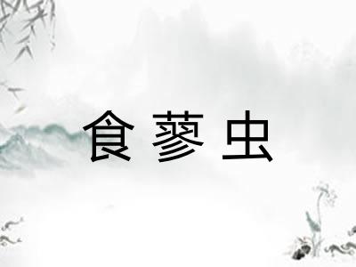 食蓼虫