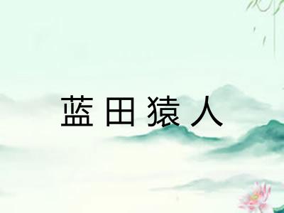 蓝田猿人