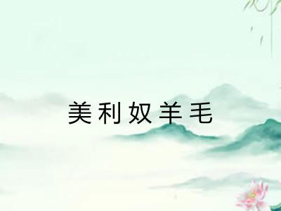 美利奴羊毛
