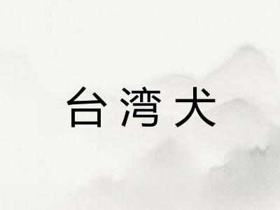 台湾犬