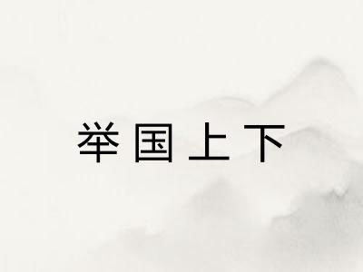 举国上下