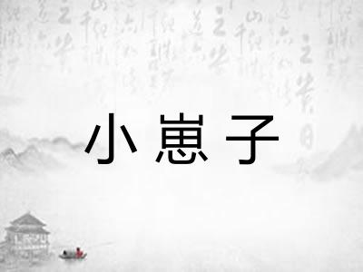 小崽子