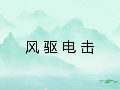 风驱电击