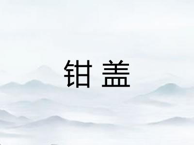 钳盖