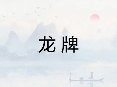 龙牌