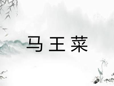 马王菜