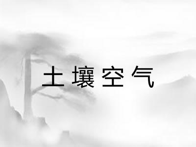 土壤空气
