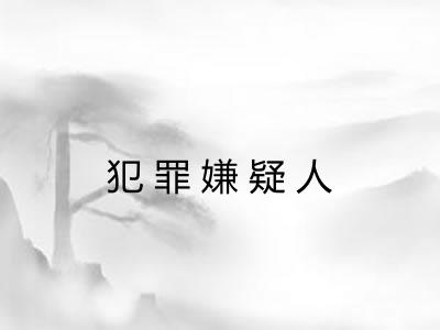 犯罪嫌疑人