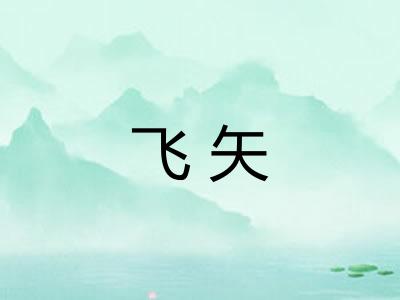 飞矢