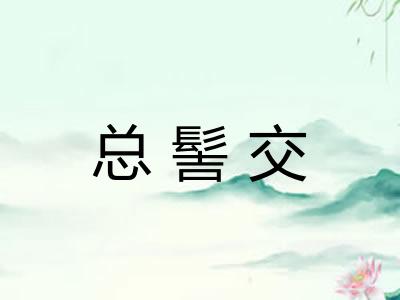 总髻交