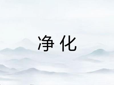 净化