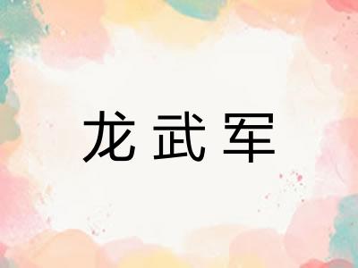 龙武军