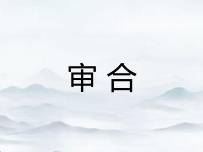 审合