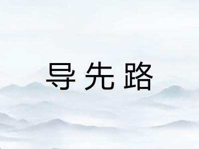 导先路