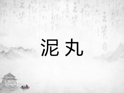 泥丸