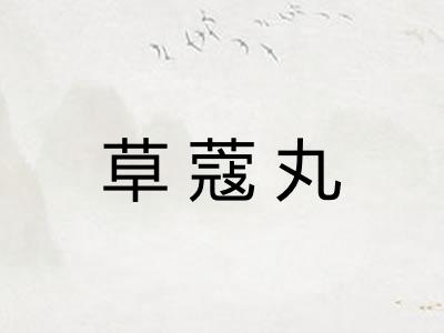 草蔻丸