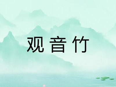 观音竹