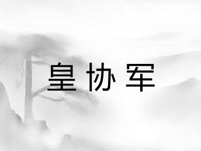 皇协军